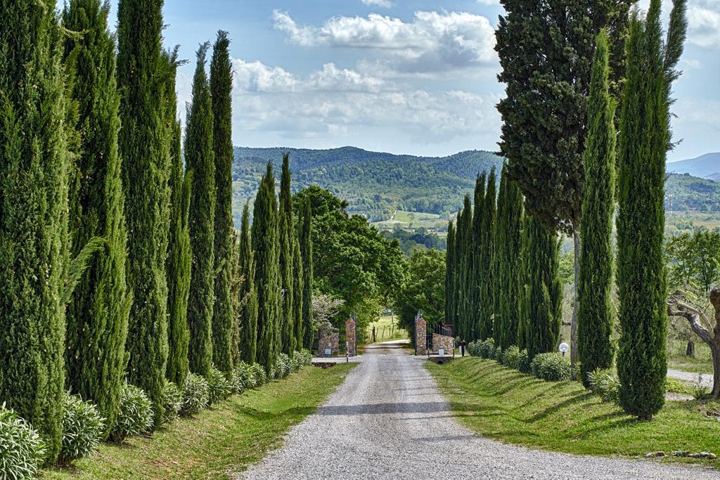 Il Convento Di Monte Pozzali Villa Massa Marittima Bagian luar foto