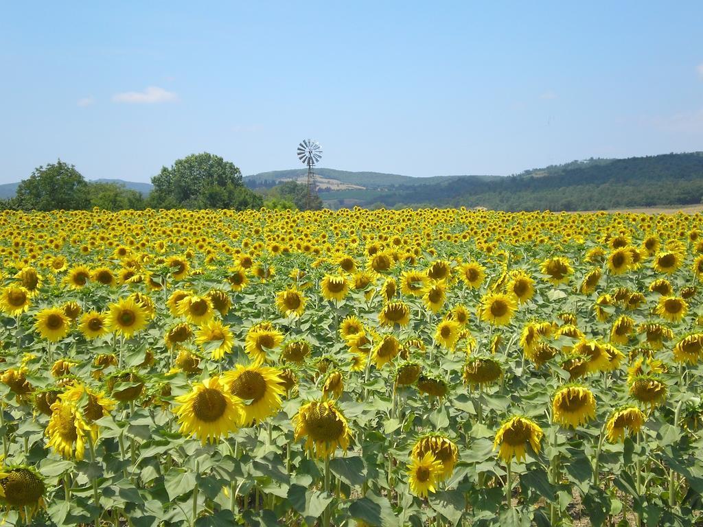 Il Convento Di Monte Pozzali Villa Massa Marittima Bagian luar foto